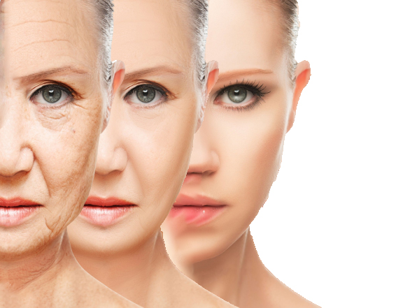 Anti Ageing